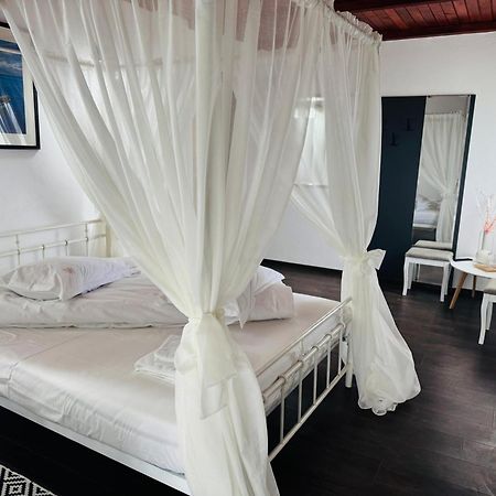 Pastravaria Ursu Vînători-Neamţ Extérieur photo