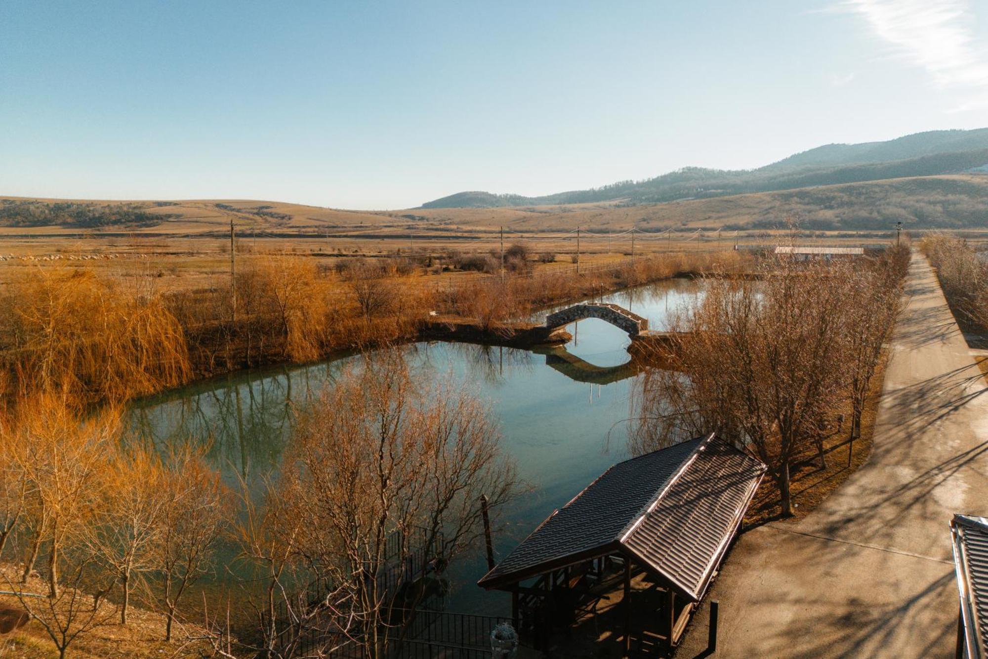 Pastravaria Ursu Vînători-Neamţ Extérieur photo