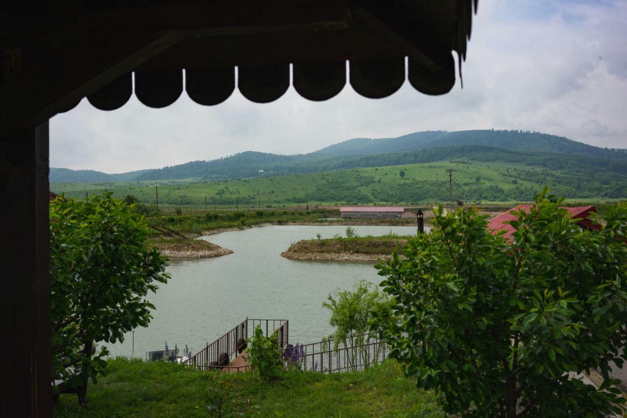 Pastravaria Ursu Vînători-Neamţ Extérieur photo